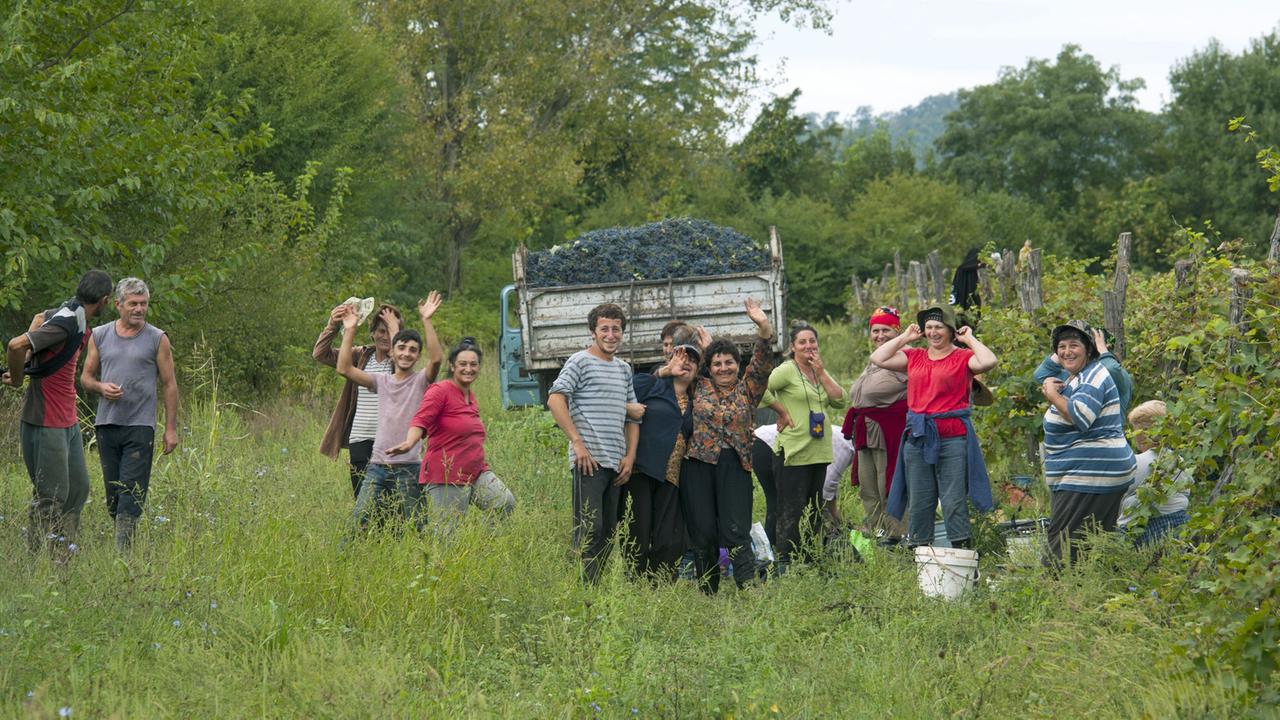 Georgien, Kachetien: Weinlese bei Kwareli Georgien, Kachetien: Weinlese bei Kwareli