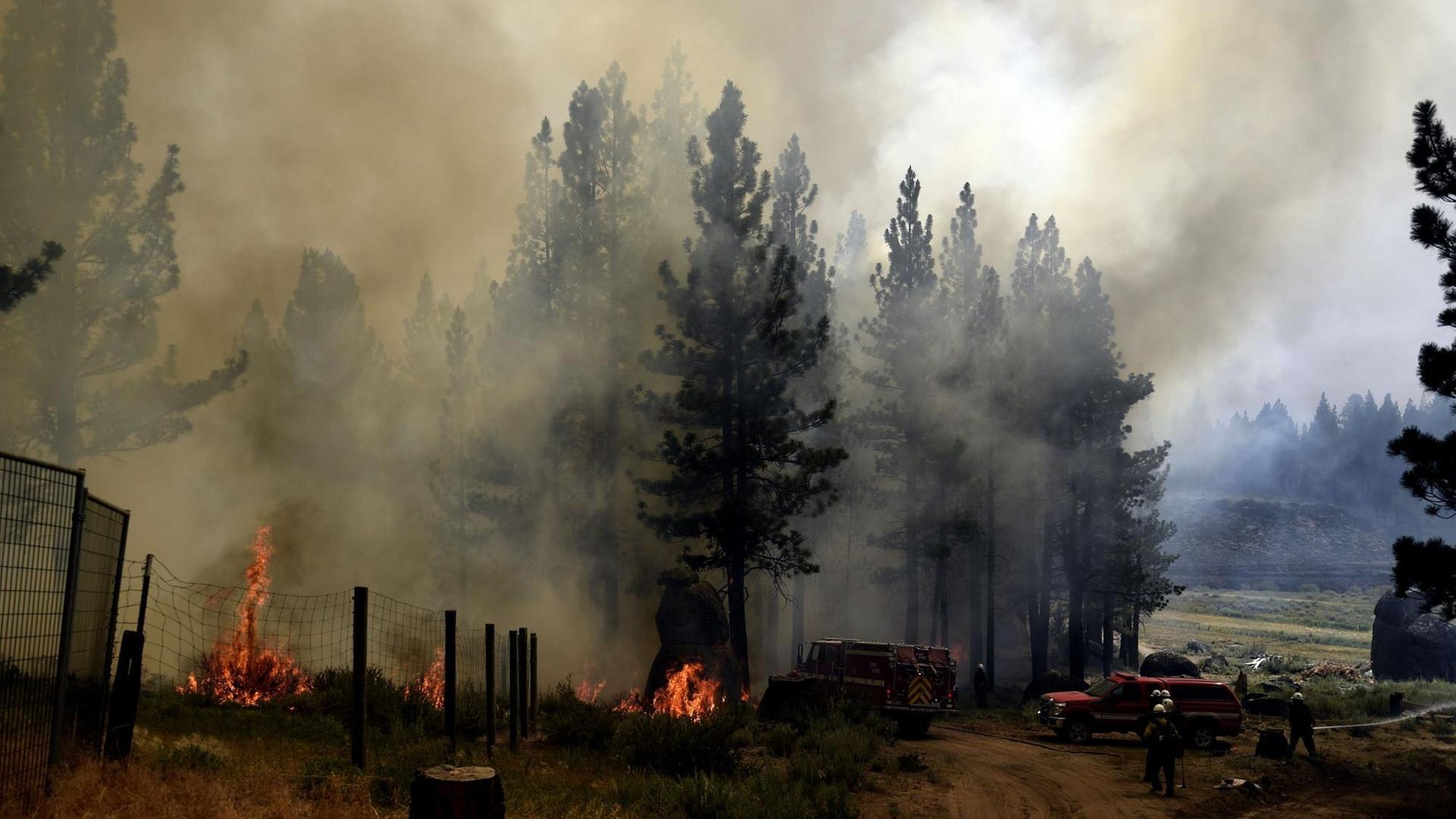 Feuer wütet in einem Wald in dem Land USA. Feuer wütet in einem Wald in dem Land USA.