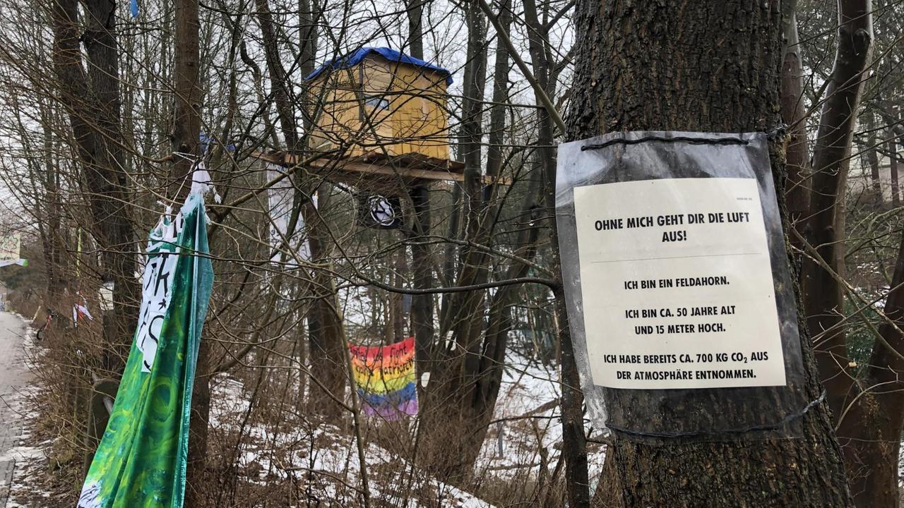 Ein Schild an einem Baum mit genauen Informationen über diesen Baum und wozu er gut ist Ein Schild an einem Baum mit genauen Informationen über diesen Baum und wozu er gut ist