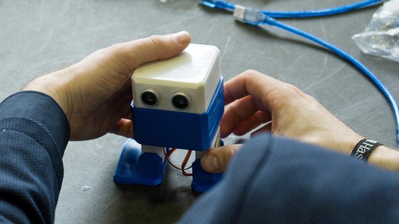 Beim Cairo Hacker Space kann man sich ganz analog einen kleinen Begleiter basteln. Beim Cairo Hacker Space kann man sich ganz analog einen kleinen Begleiter basteln.