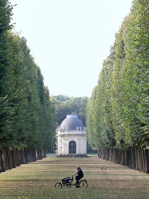Mit einem Lastenfahrrad quert ein Mann eine rund 100 Jahre alte Lindenallee vor der Kulisse eines Tempels. Großer Garten in Hannover-Herrenhausen