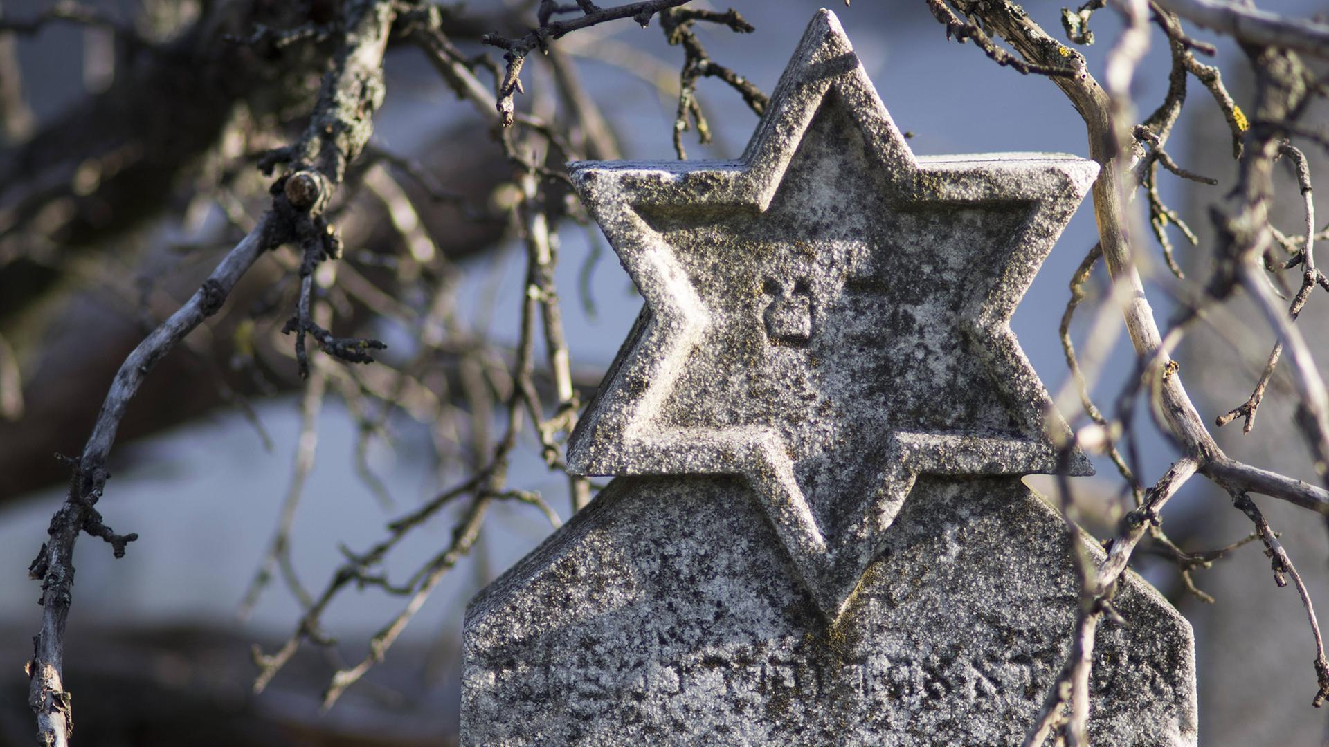 Detail eines Grabsteins auf einem jüdischen Friedhof: Zu sehen ist ein steinerner Davidstern, im Hintergrund Zweige eines Baumes. Detail eines Grabsteins auf einem jüdischen Friedhof: Zu sehen ist ein steinerner Davidstern, im Hintergrund Zweige eines Baumes.