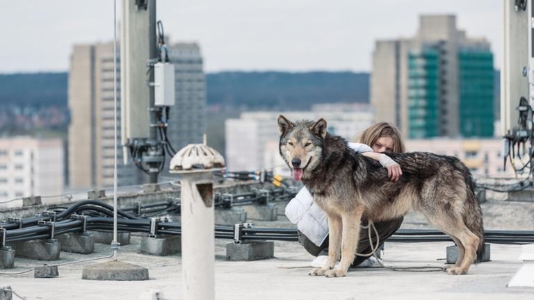 Anna, gespielt von Lilith Stangenberg, nimmt einen Wolf auf - in ihrer Hochhauswohnung Anna, gespielt von Lilith Stangenberg, nimmt einen Wolf auf - in ihrer Hochhauswohnung