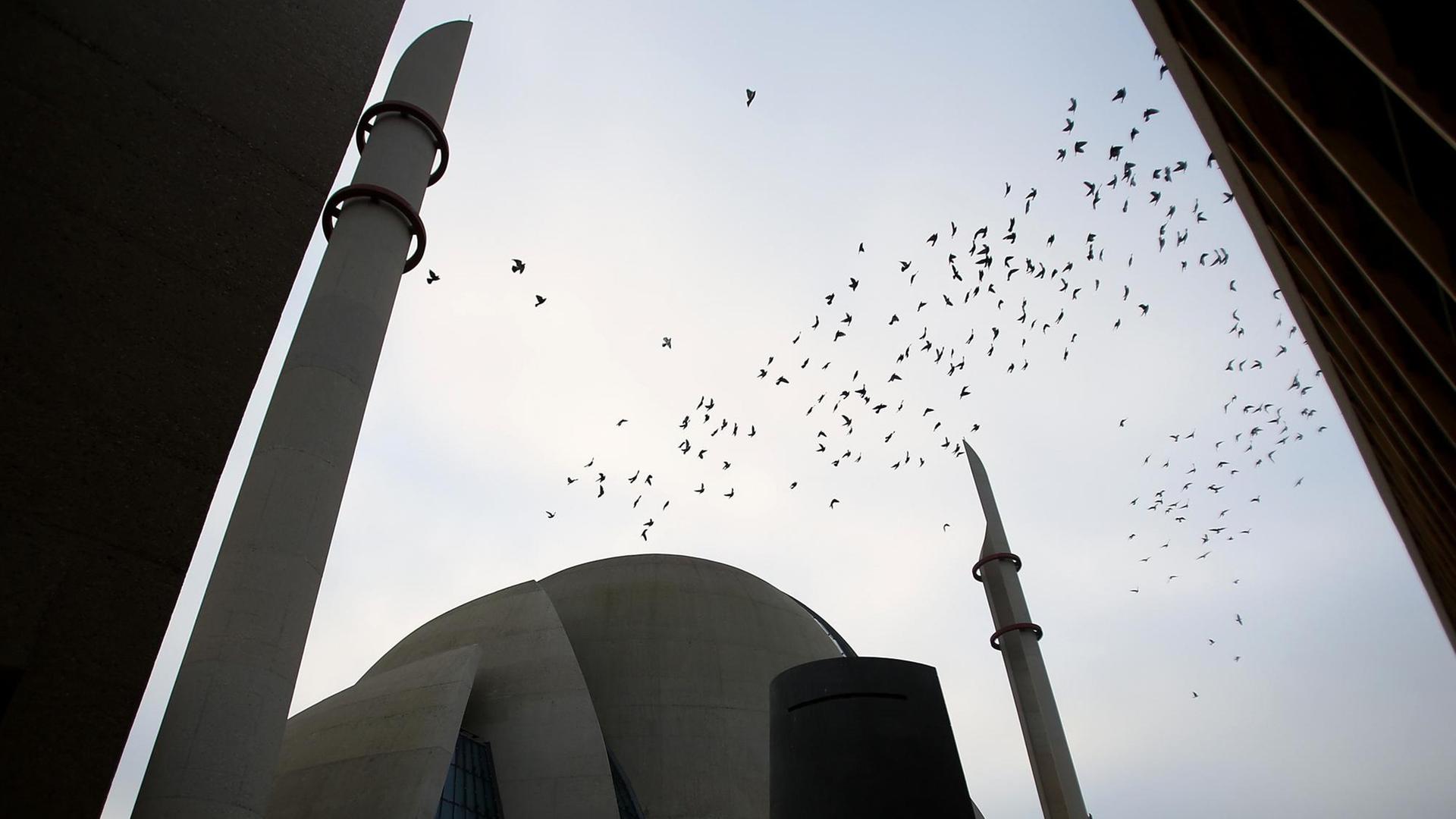 Die Ditib-Moschee mit zwei Minaretten in Köln-Ehrenfeld. Die Ditib-Moschee mit zwei Minaretten in Köln-Ehrenfeld.