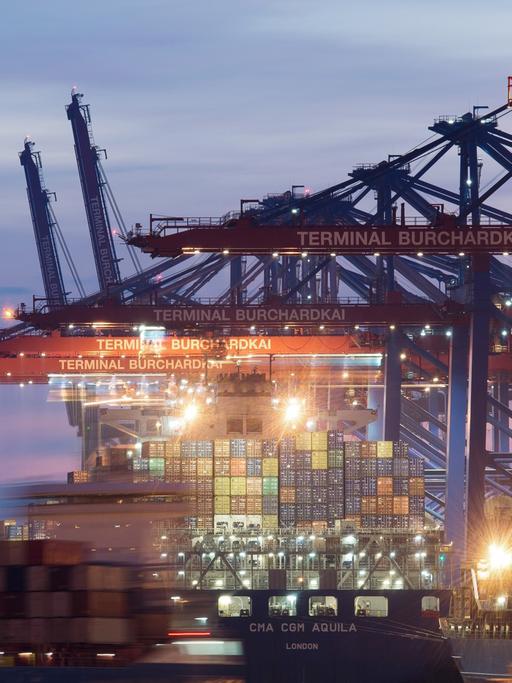 Containerschiffe kurz nach Sonnenuntergang im Hamburger Hafen am Terminal Burchardkai