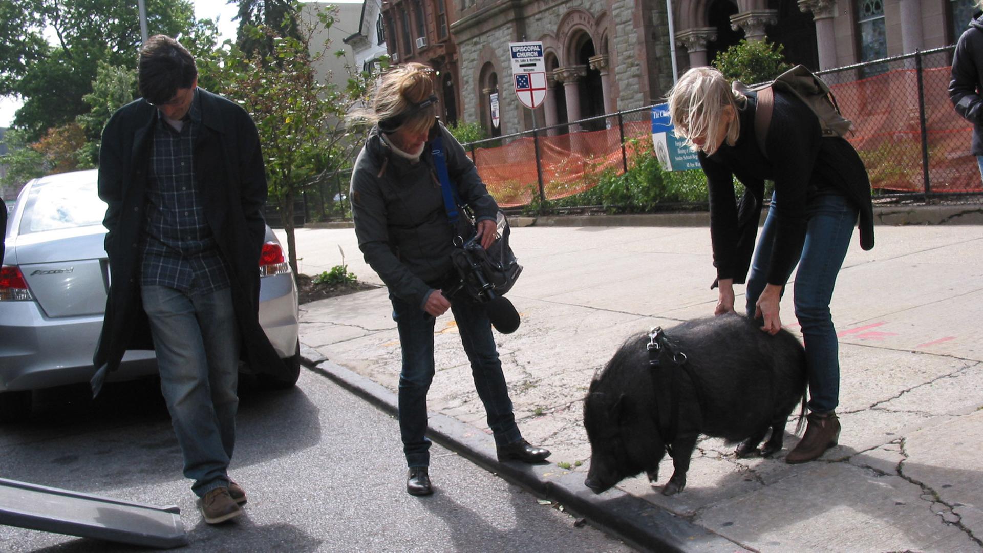 Autorin Lisbeth Jessen und das Schwein Emmett Autorin Lisbeth Jessen und das Schwein Emmett