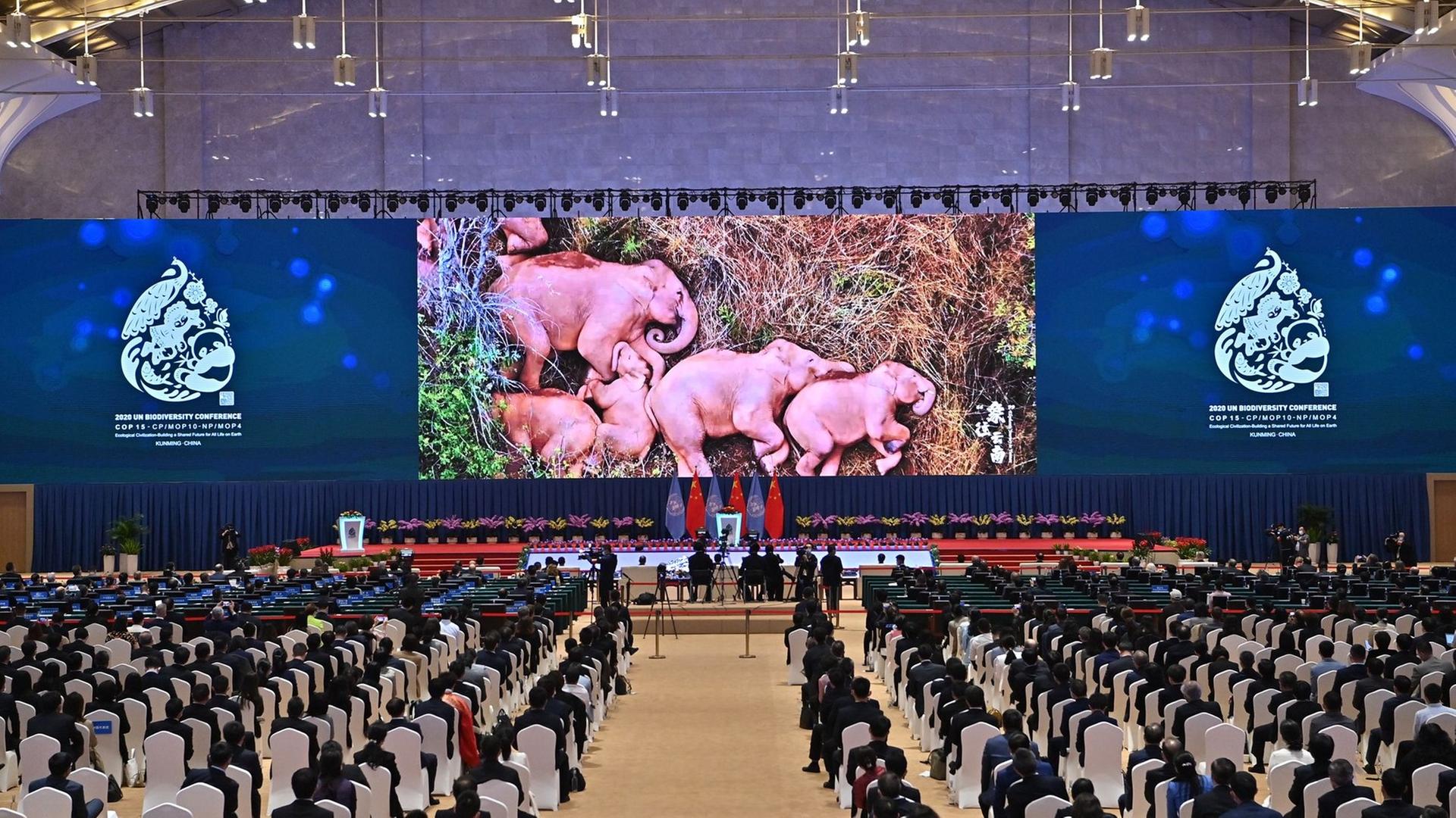 In China findet die Artenschutz-Konferenz statt. In China findet die Artenschutz-Konferenz statt.