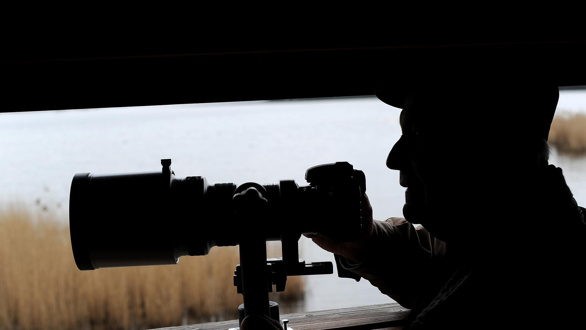 Hobbyfotograf Stefan Csögör (73) fotografiert am Mittwoch (11.02.2012) aus einer Beobachtungshütte im Naturschutzgebiet Ilkerbruch bei Wolfsburg. Hobbyfotograf Stefan Csögör (73) fotografiert am Mittwoch (11.02.2012) aus einer Beobachtungshütte im Naturschutzgebiet Ilkerbruch bei Wolfsburg.