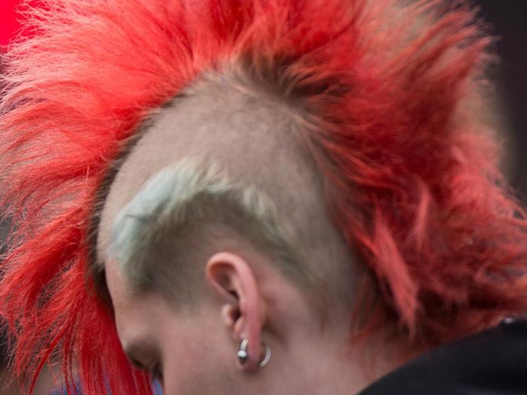 Ein Punk mit rotem Irokesenschnitt auf einer Demo. Foto: Maurizio Gambarini/dpa