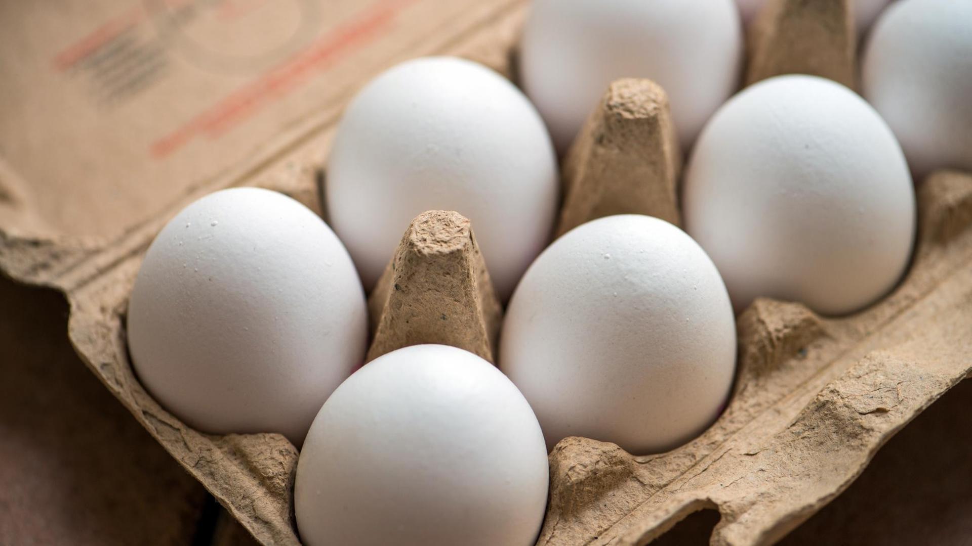 Eier in einem Karton Eier in einem Karton