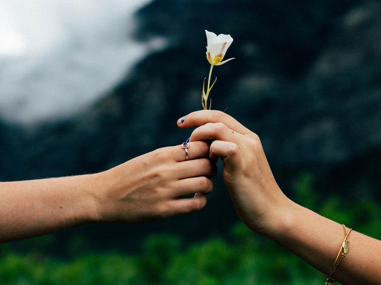 Eine Person nimmt eine Blume mit einer weißen Blüte von einer anderen Person entgegen. Es sind nur die Arme, Hände und die Blume zu sehen.