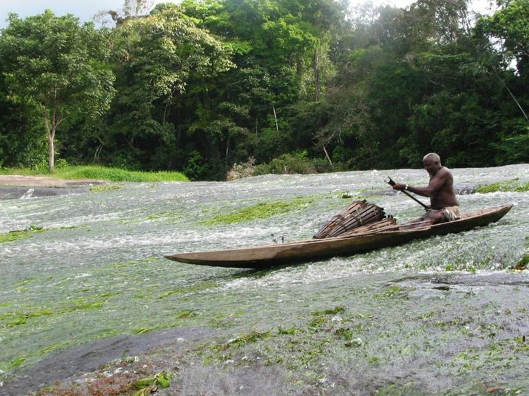 Mann aus Kajan in einem Einbaum manoevriert in einer Stromschnelle des Marowijne Flusses, Surinam