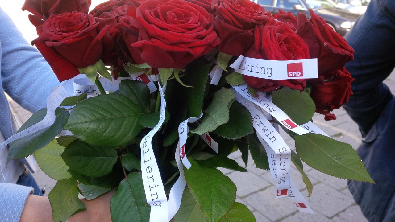 Ministerpräsident Erwin Sellering, SPD, macht Wahlkampf mit Rosen. Ministerpräsident Erwin Sellering, SPD, macht Wahlkampf mit Rosen.