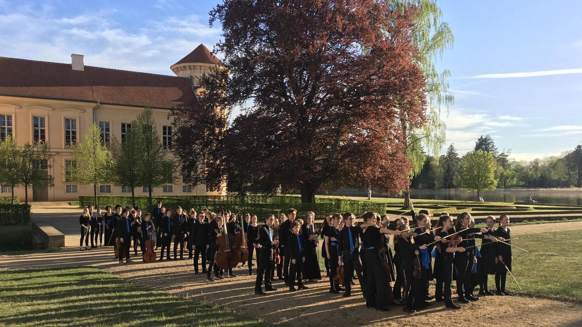 Die Mitglieder der Deutschen Streicherphilharmonie stehen im Park vor Schloss Rheinsberg. Die Mitglieder der Deutschen Streicherphilharmonie stehen im Park vor Schloss Rheinsberg.