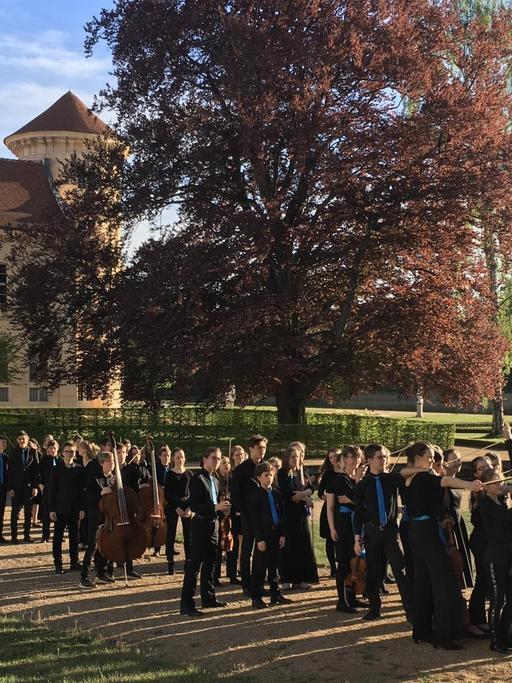 Die Mitglieder der Deutschen Streicherphilharmonie stehen im Park vor Schloss Rheinsberg.