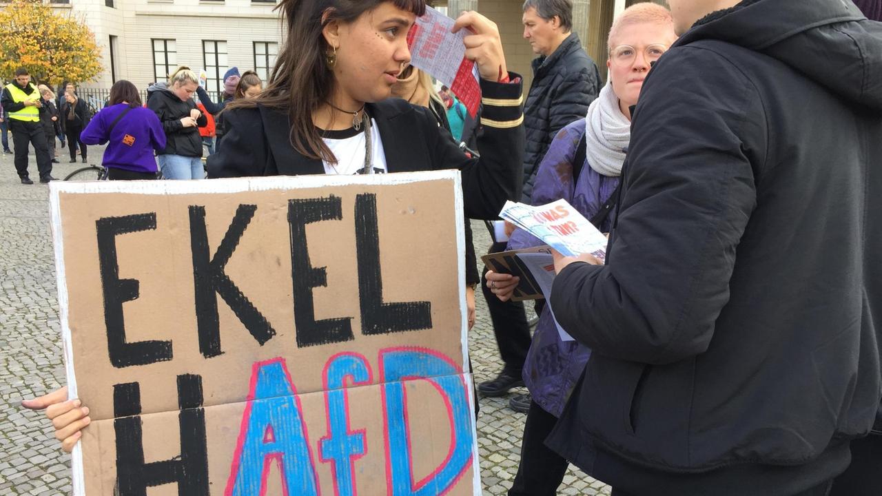 Demo gegen Hass und Rassismus Transparent "EkelhAFD"