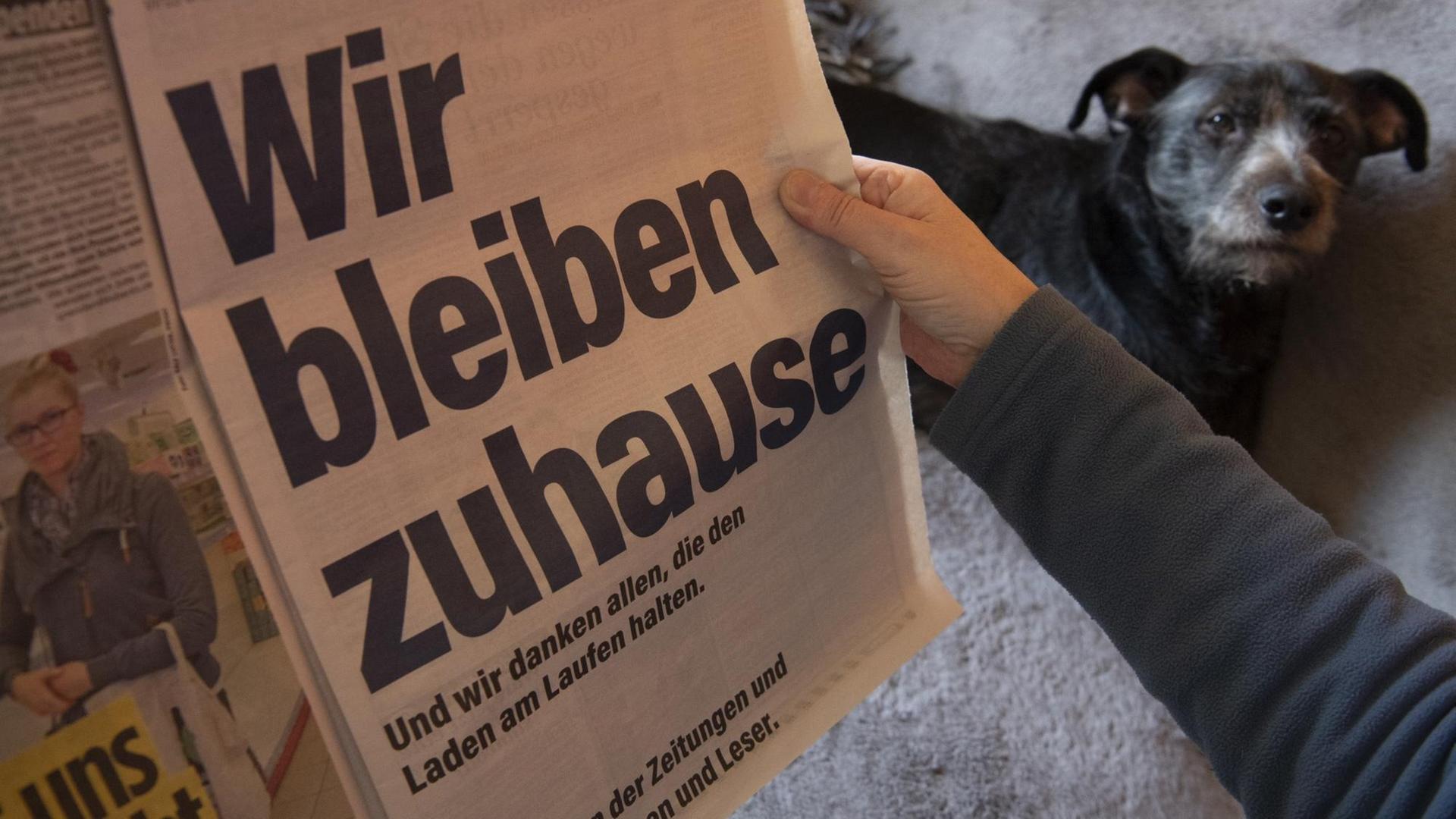 ILLUSTRATION: Eine Frau sitzt Zuhause neben ihrem Hund und schaut auf die Anzeige der Zeitungen unter dem Leitmotiv "Wir bleiben zuhause". ILLUSTRATION: Eine Frau sitzt Zuhause neben ihrem Hund und schaut auf die Anzeige der Zeitungen unter dem Leitmotiv "Wir bleiben zuhause".