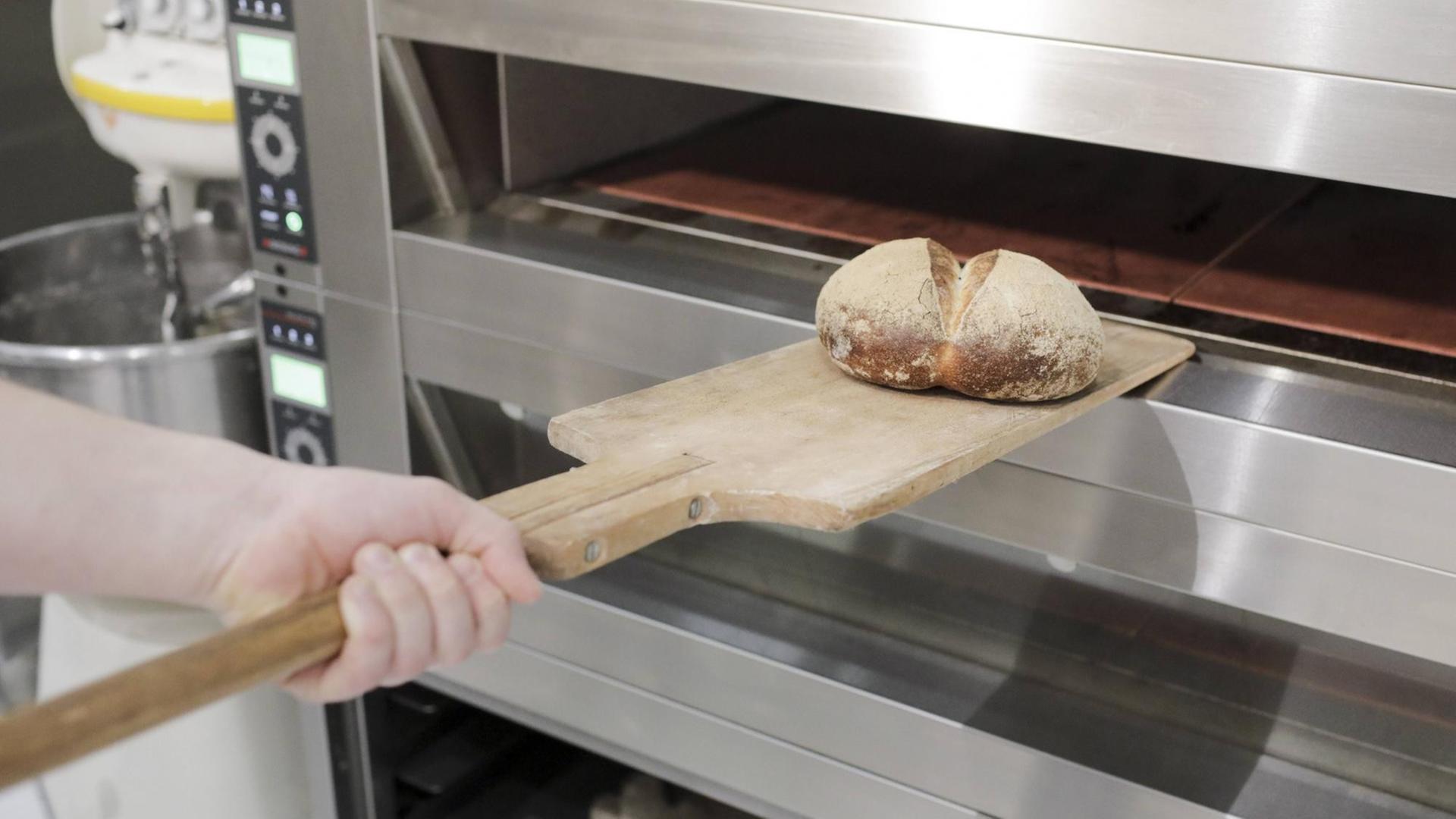 Ein Baecker holt ein frisch gebackenes Brot aus dem Ofen, Berlin, 24.01.2017. , available, , Berlin Berlin Deutschland PUBLICATIONxINxGERxSUIxAUTxONLY Copyright: xIngaxKjerx a Baecker picks a Fresh Baked Bread out the Oven Berlin 24 01 2017 available Berlin Berlin Germany PUBLICATIONxINxGERxSUIxAUTxONLY Copyright xIngaxKjerx Ein Baecker holt ein frisch gebackenes Brot aus dem Ofen, Berlin, 24.01.2017. , available, , Berlin Berlin Deutschland PUBLICATIONxINxGERxSUIxAUTxONLY Copyright: xIngaxKjerx a Baecker picks a Fresh Baked Bread out the Oven Berlin 24 01 2017 available Berlin Berlin Germany PUBLICATIONxINxGERxSUIxAUTxONLY Copyright xIngaxKjerx