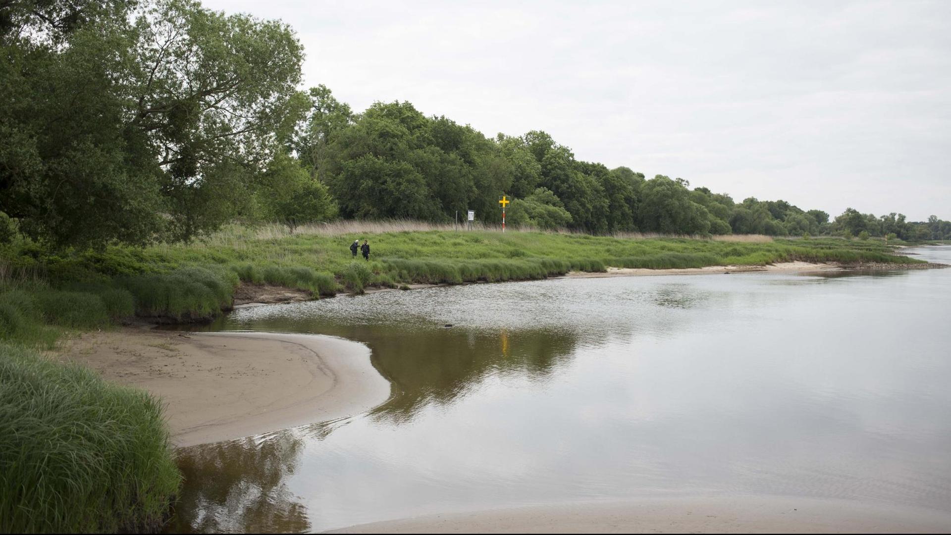 Die Elbe - Deutschlands ursprünglichster Fluss Die Elbe - Deutschlands ursprünglichster Fluss