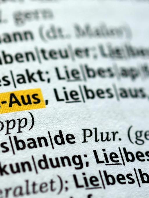 Der Begriff "Liebes-Aus" ist am 04.08.2017 in Berlin im neuen Duden zu sehen. Das Nachschlagewerk wurde um 5000 Wörter ergänzt und umfasst nun 145.000 Stichwörter.