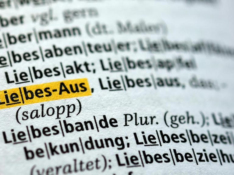 Der Begriff "Liebes-Aus" ist am 04.08.2017 in Berlin im neuen Duden zu sehen. Das Nachschlagewerk wurde um 5000 Wörter ergänzt und umfasst nun 145.000 Stichwörter.