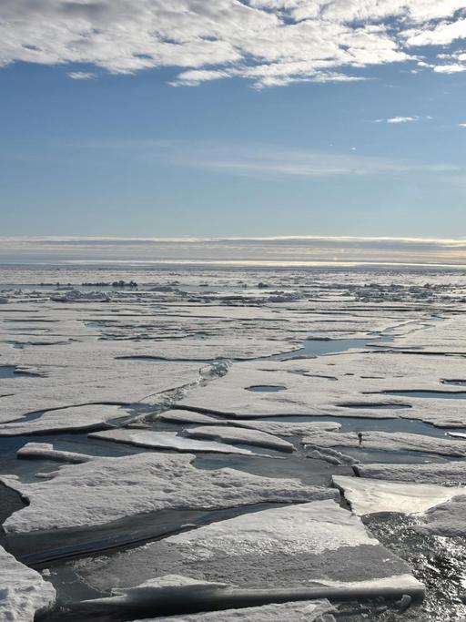 Die Eisdecke am Nordpol