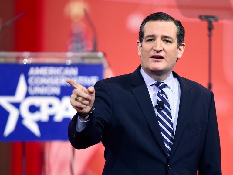 Der republikanische US-Senator Ted Cruz spricht auf einer Konferenz.