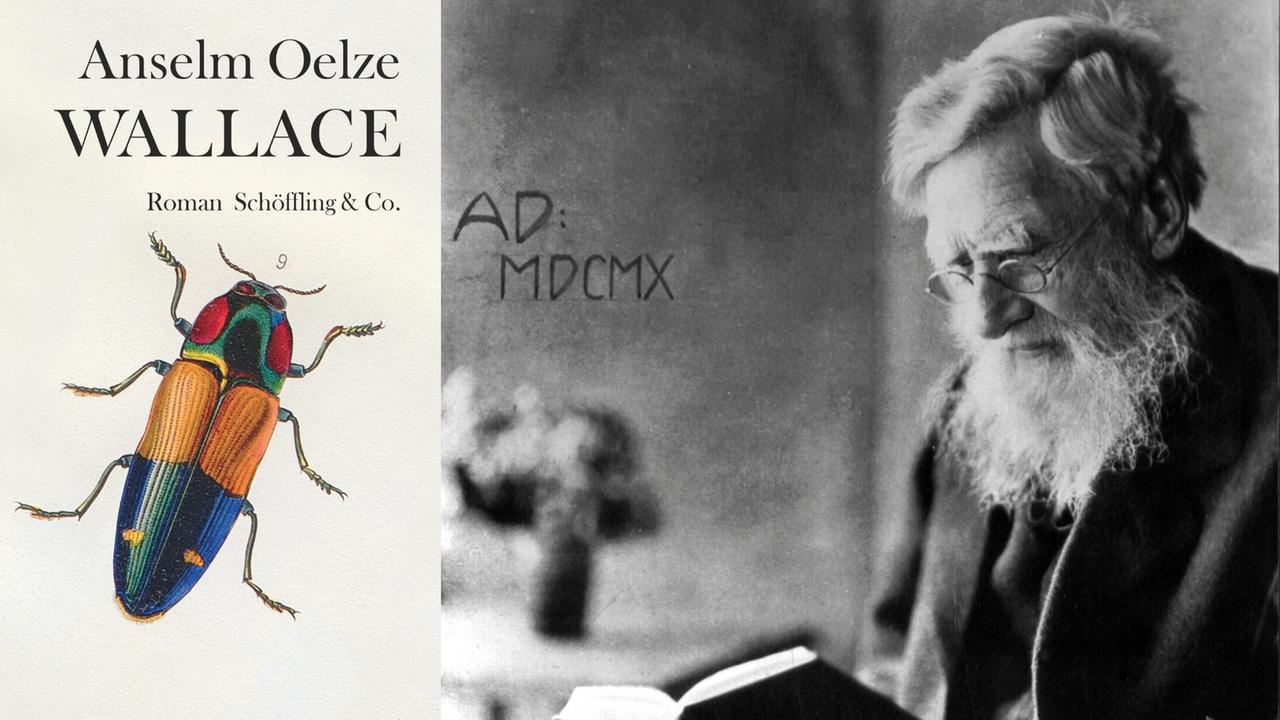 Buchcover: Anselm Oelze: „Wallace“ und historisches Foto von Alfred Russel Wallace Buchcover: Anselm Oelze: „Wallace“ und historisches Foto von Alfred Russel Wallace