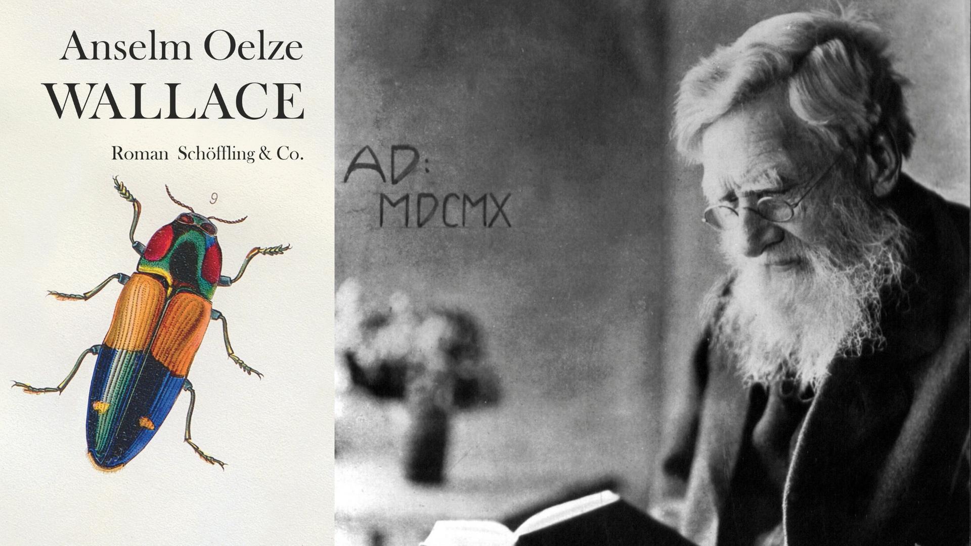Buchcover: Anselm Oelze: „Wallace“ und historisches Foto von Alfred Russel Wallace Buchcover: Anselm Oelze: „Wallace“ und historisches Foto von Alfred Russel Wallace