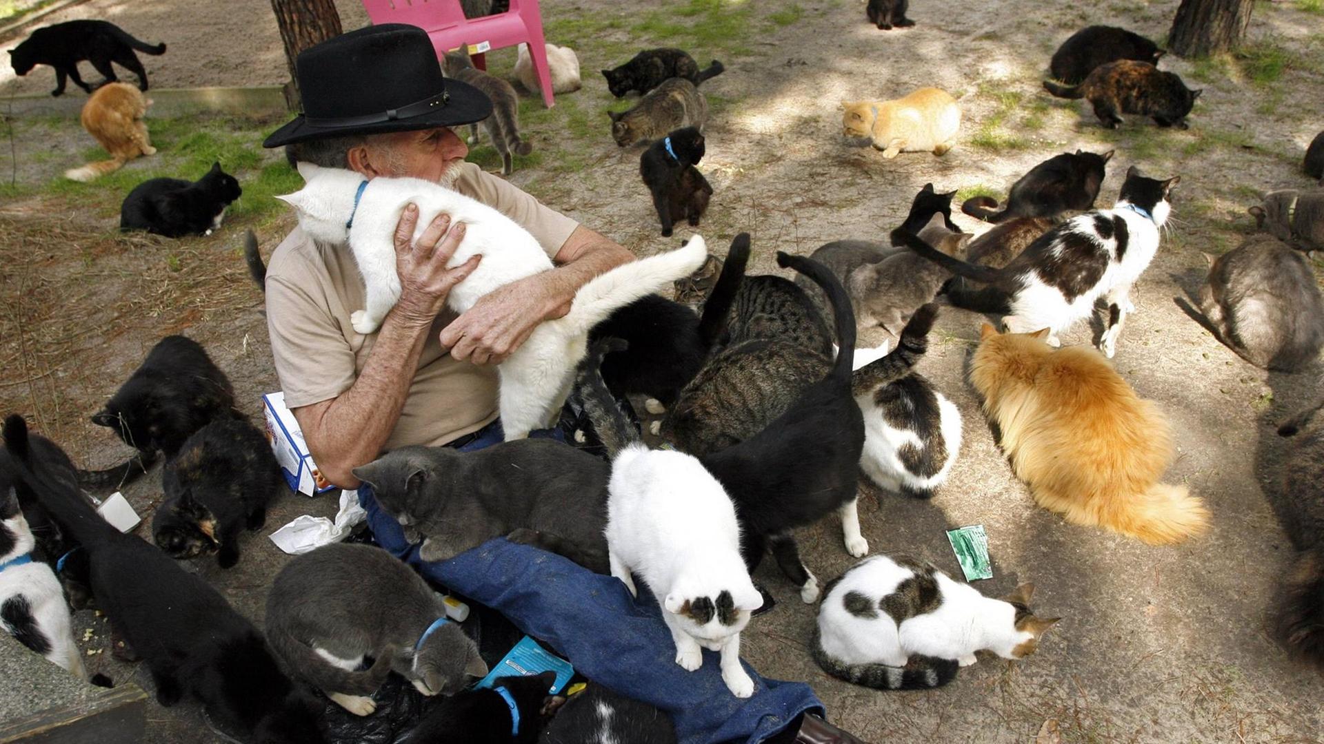 Ein Mann sitzt mit Katzen auf dem Arm und auf dem Schoß sowie umgeben von zwei Duzend Katzen draußen auf dem Boden.