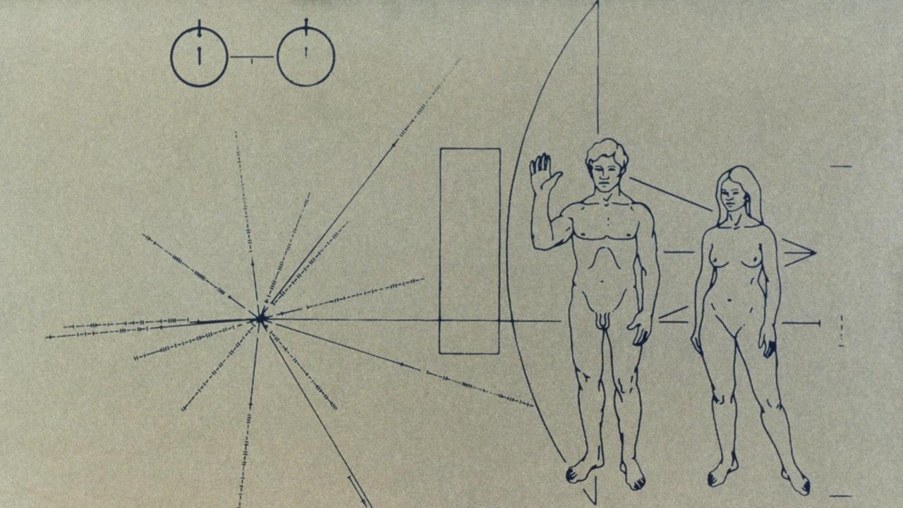 Auf diesem Erkennungsschild der NASA, das an der Außenseite einer 1972 ins Weltall gestarteten Pioneer-Raumsonde angebracht wurde, sind die menschlichen Wesen Mann und Frau und ein Wasserstoff-Atom abgebildet. Zudem soll die Zeichnung außerirdischen Intelligenzen ermöglichen, die Herkunft und den Startzeitpunkt der Sonde zu bestimmen. Auf diesem Erkennungsschild der NASA, das an der Außenseite einer 1972 ins Weltall gestarteten Pioneer-Raumsonde angebracht wurde, sind die menschlichen Wesen Mann und Frau und ein Wasserstoff-Atom abgebildet. Zudem soll die Zeichnung außerirdischen Intelligenzen ermöglichen, die Herkunft und den Startzeitpunkt der Sonde zu bestimmen.