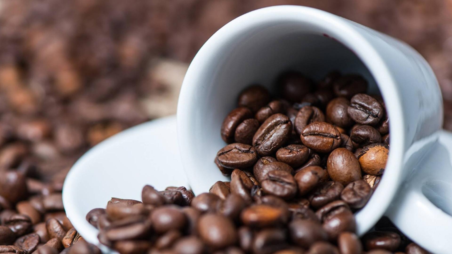 Kaffeetasse umgeben von Kaffeebohnen Kaffeetasse umgeben von Kaffeebohnen