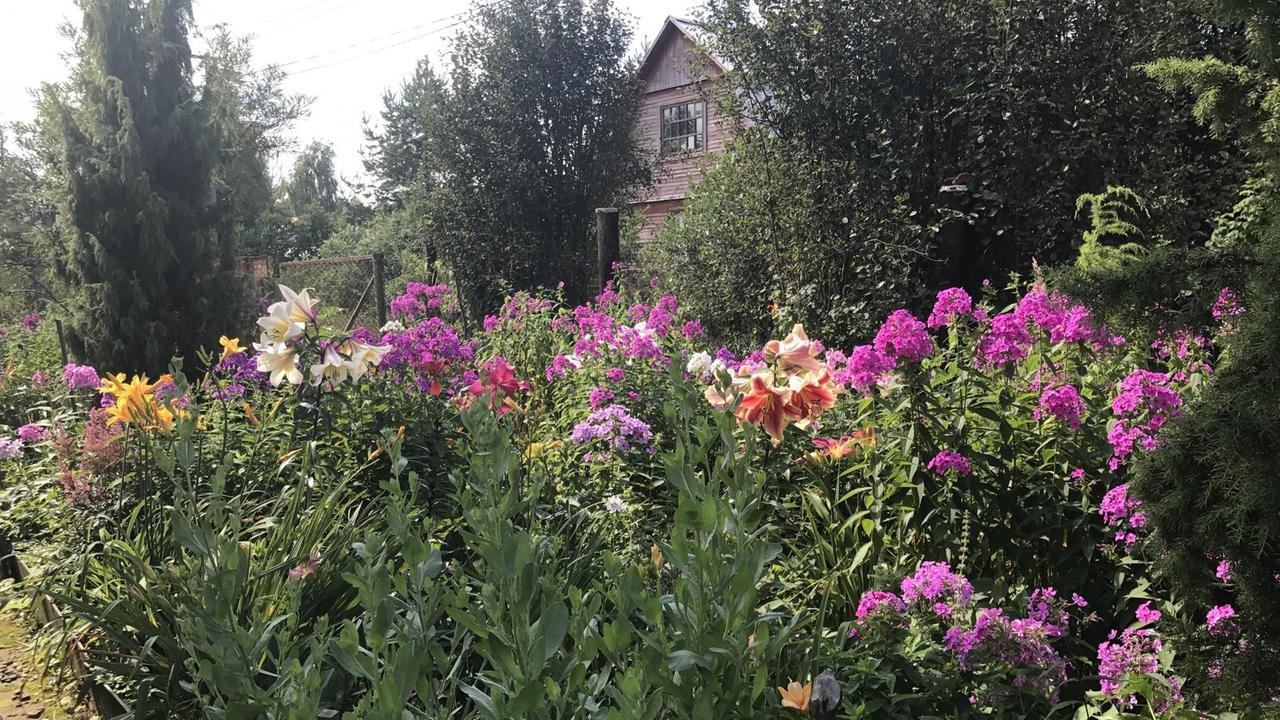 Datscha und Blumen Datscha und Blumen