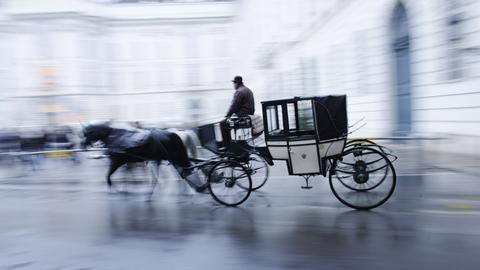 Eine Pferdekutsche mit zwei Pferden im Gespann und einem Mann mit Melone auf dem Bock. Alles etwas verschwommen auf einer Straße in Wien.