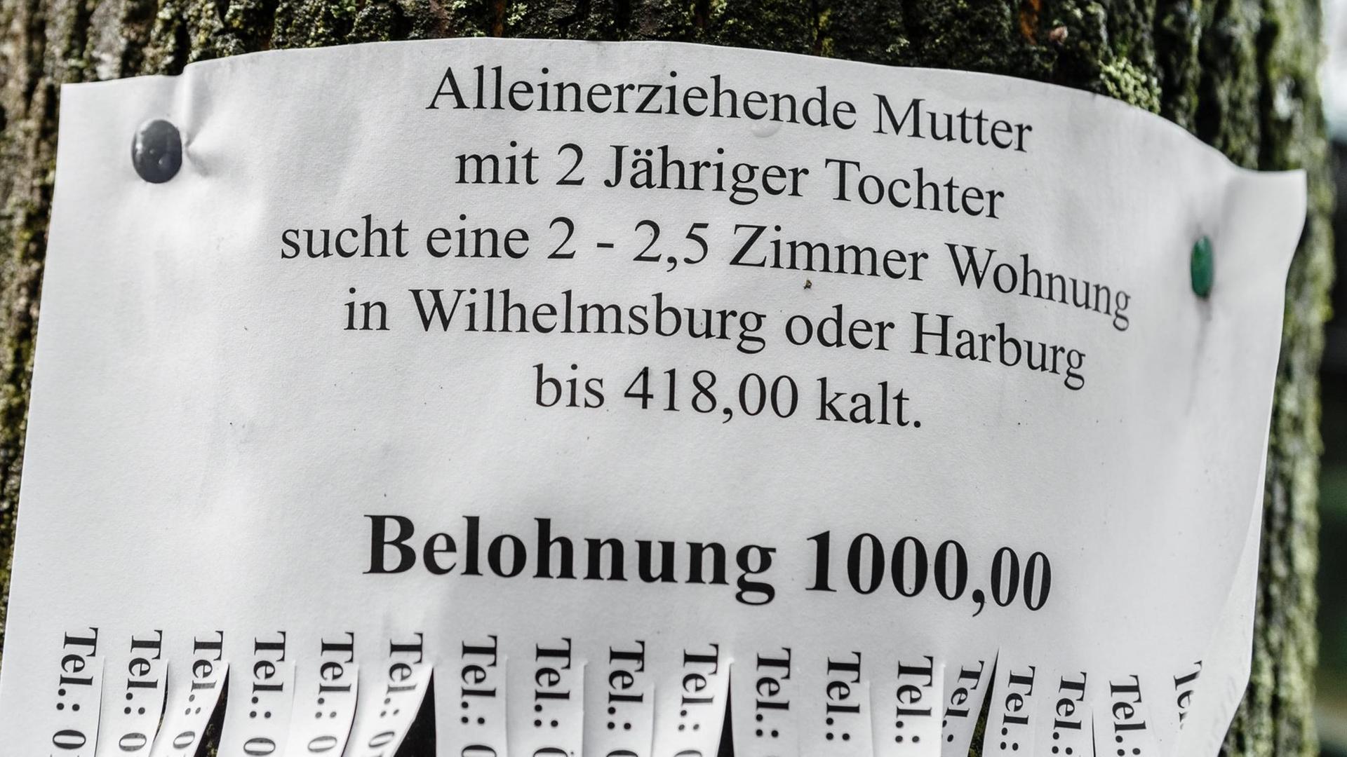 Ein Zettel an einem Baum in Hamburg verspricht eine Belohnung von 1.000 Euro für die erfolgreiche Vermittlung einer Wohnung an eine alleinerziehende Mutter.