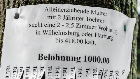 Ein Zettel an einem Baum in Hamburg verspricht eine Belohnung von 1.000 Euro für die erfolgreiche Vermittlung einer Wohnung an eine alleinerziehende Mutter.