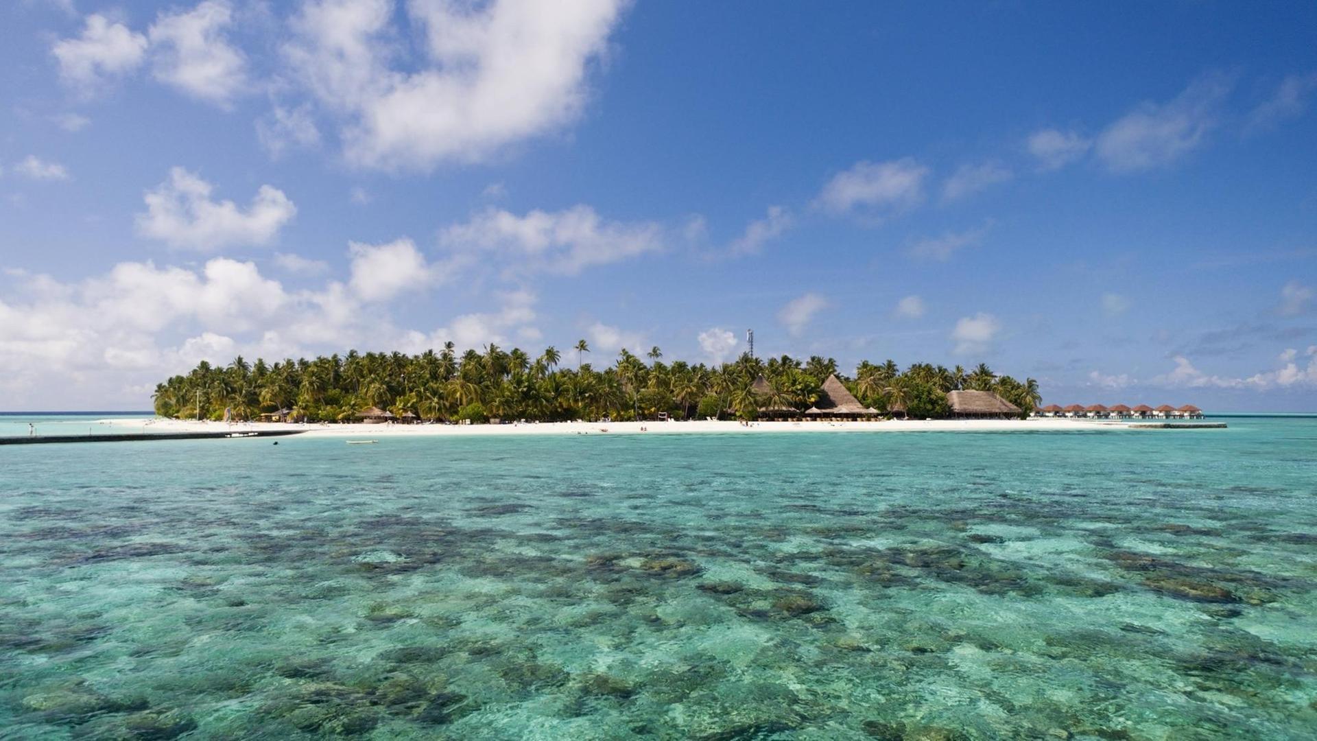 Malediveninsel Alimatha, Felidhu Atoll Malediveninsel Alimatha, Felidhu Atoll