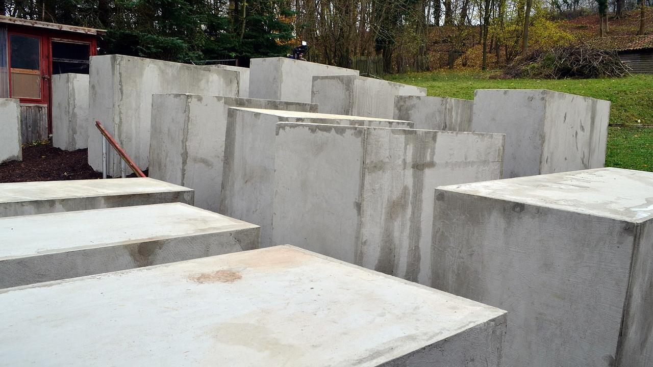Das "Denkmal der Schande", ein verkleinerter Nachbau des Berliner Holocaust-Mahnmals, in Bornhagen im Eichsfeld in Sichtweite des Grundstücks von AfD-Politiker Höcke. Das "Denkmal der Schande", ein verkleinerter Nachbau des Berliner Holocaust-Mahnmals, in Bornhagen im Eichsfeld in Sichtweite des Grundstücks von AfD-Politiker Höcke.