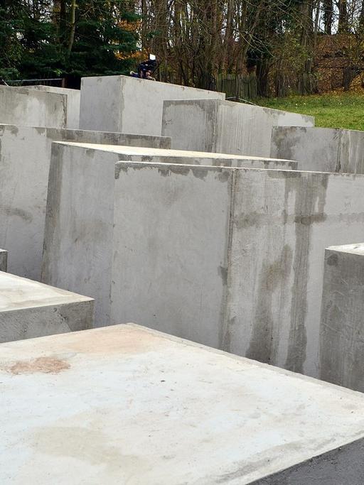Das "Denkmal der Schande", ein verkleinerter Nachbau des Berliner Holocaust-Mahnmals, in Bornhagen im Eichsfeld in Sichtweite des Grundstücks von AfD-Politiker Höcke.