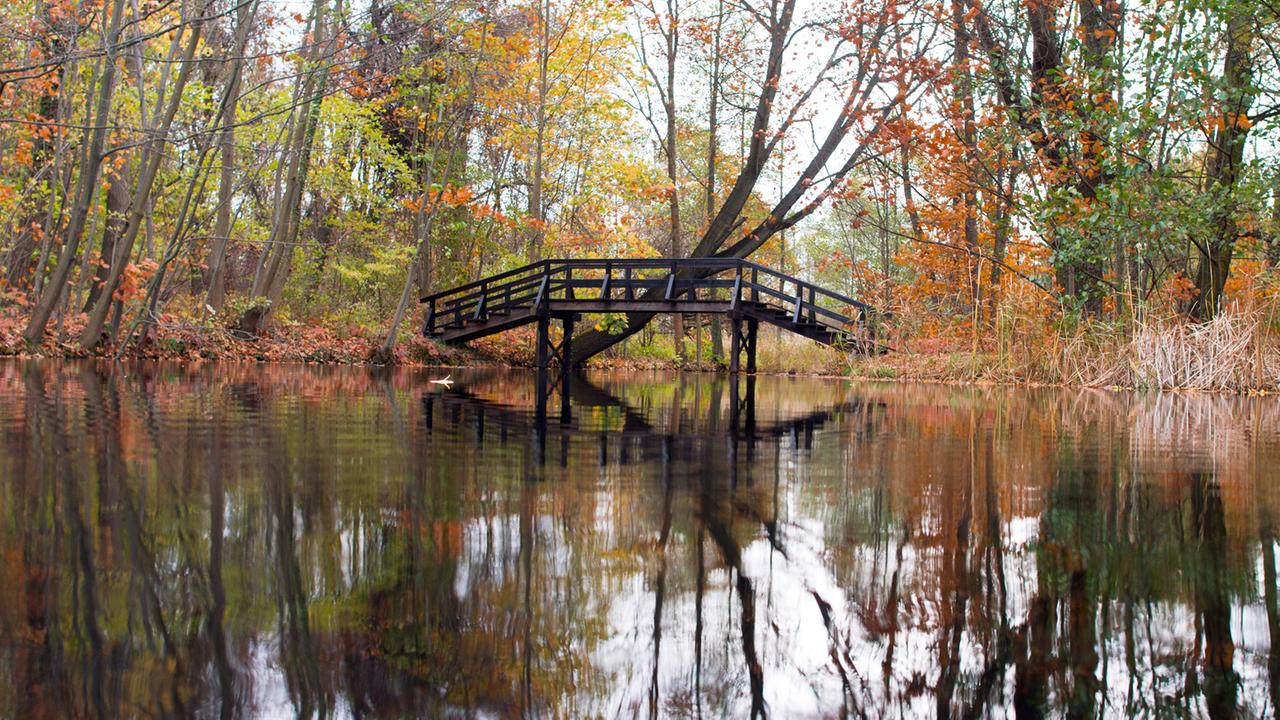 Eine Brücke spiegelt sich nahe dem Spreewalddorf Straupitz (Brandenburg) in einem kleinen See. Eine Brücke spiegelt sich nahe dem Spreewalddorf Straupitz (Brandenburg) in einem kleinen See.