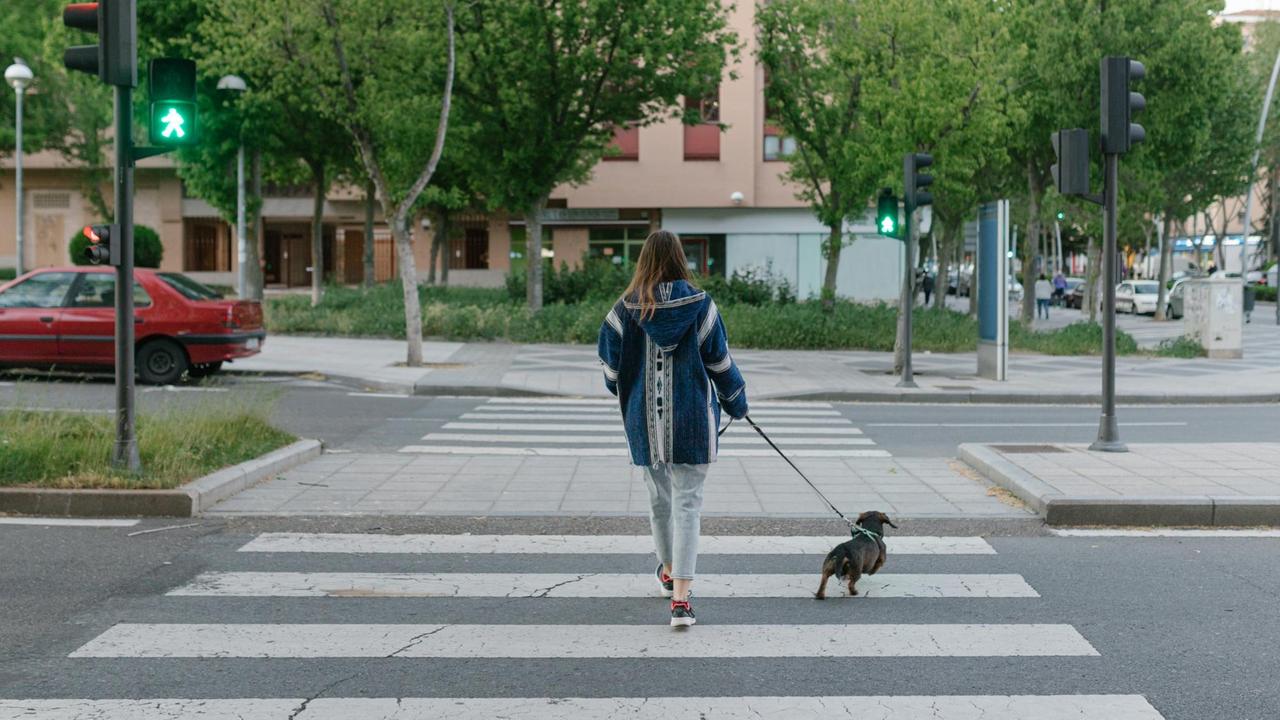 Frau mit Hund, die einen Zebrastreifen überqueren. Frau mit Hund, die einen Zebrastreifen überqueren.