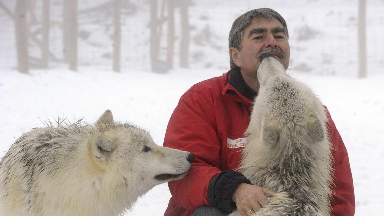 Der Evolutionsbiologie und Verhaltensforscher Kurt Kotrschal mit Wölfen im "Wolf Science Center" in Ernstbrunn, Österreich, 2010. Der Evolutionsbiologie und Verhaltensforscher Kurt Kotrschal mit Wölfen im "Wolf Science Center" in Ernstbrunn, Österreich, 2010.