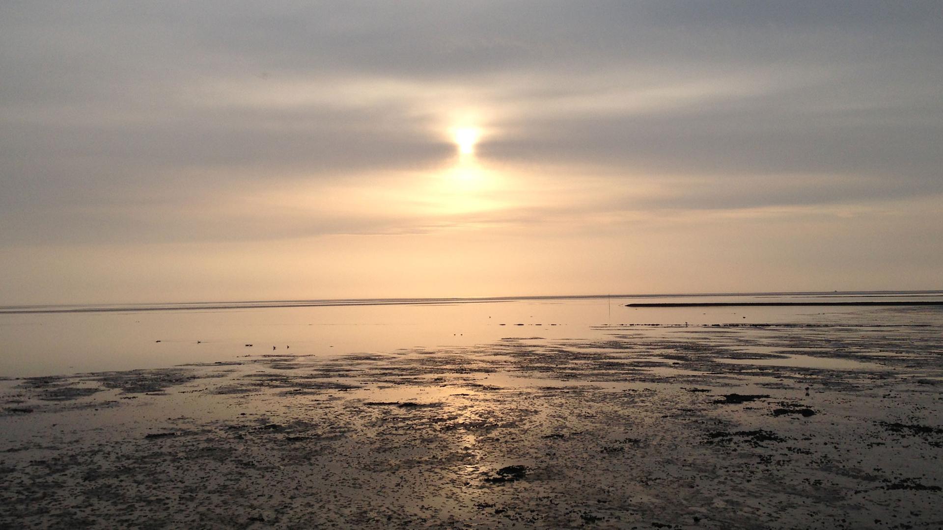 Sonnenaufgang auf der Insel Pellworm Sonnenaufgang auf der Insel Pellworm