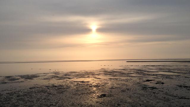 Sonnenaufgang auf der Insel Pellworm