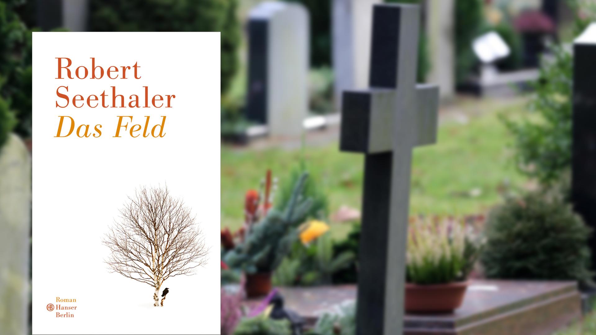 Buchcover Robert Seethaler: "Das Feld" Buchcover Robert Seethaler: "Das Feld"
