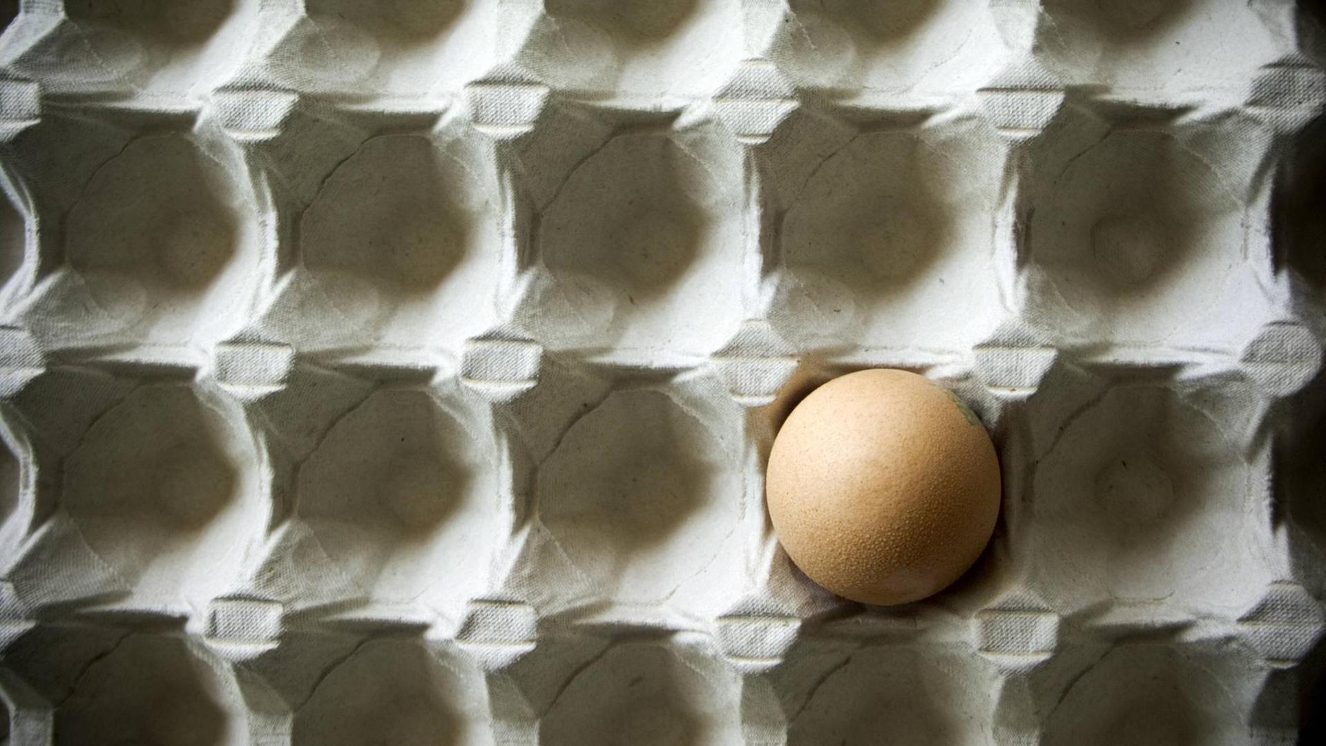 Ein einzelnes braunes Ei in einem Eierkarton.