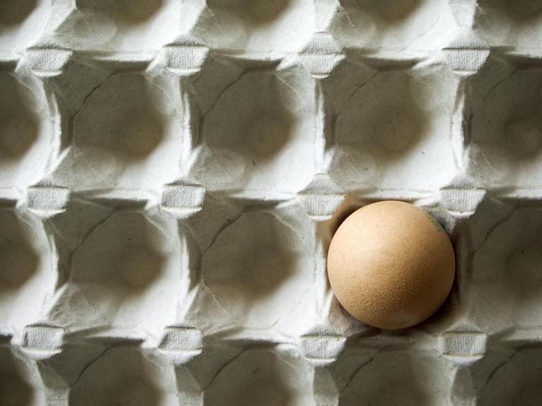Ein einzelnes braunes Ei in einem Eierkarton.