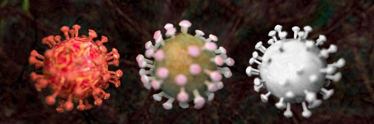 Die Grafik zeigt drei Varianten eines Coronavirus wie des 2020 zur Pandemie gewordenen SARS-CoV-2. 