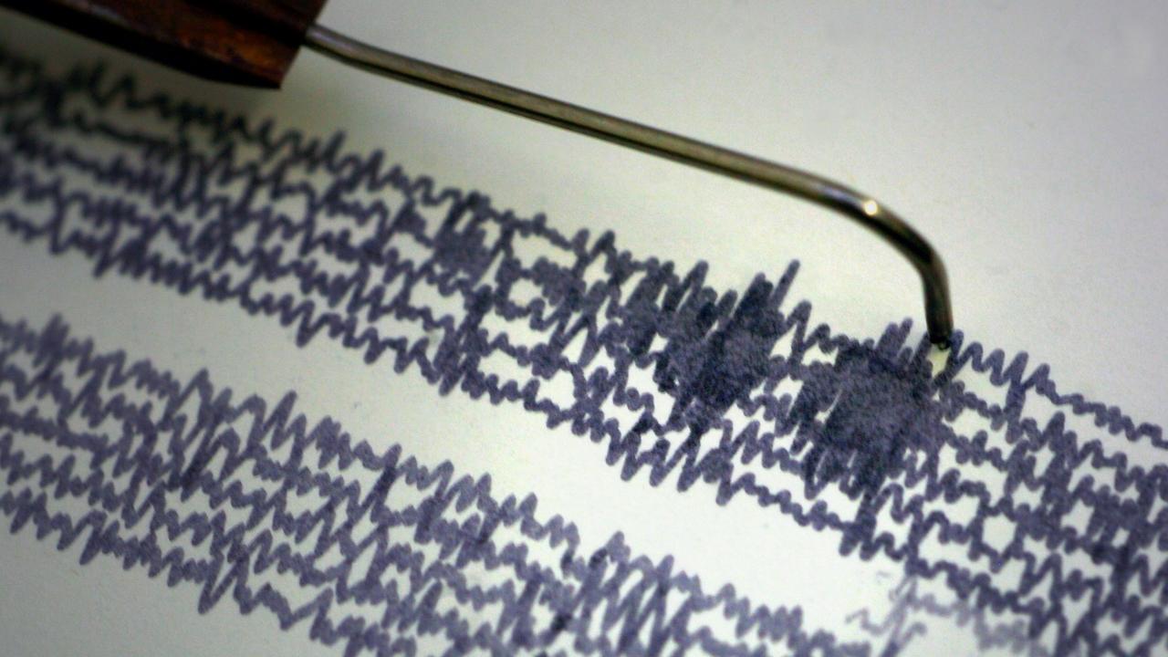 Aufzeichnung eines Seismogramms am 24.01.2005 im Geodynamischen Observatorium Moxa der Universität Jena. Die Aktivitäten in dem und auf dem Erdmantel, die sich immer wieder in großen und vielen kleinen Beben bemerkbar machen, werden in einem globalen Netzwerk erfasst. Aufzeichnung eines Seismogramms am 24.01.2005 im Geodynamischen Observatorium Moxa der Universität Jena. Die Aktivitäten in dem und auf dem Erdmantel, die sich immer wieder in großen und vielen kleinen Beben bemerkbar machen, werden in einem globalen Netzwerk erfasst.