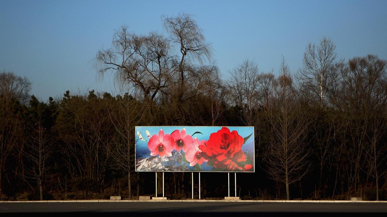 Ein Werbeplakat mit der nach Kim Il Sung benannten Blume im Abendlicht illuminiert an einer Straße in Pjöngjang, Nordkorea. Ein Werbeplakat mit der nach Kim Il Sung benannten Blume im Abendlicht illuminiert an einer Straße in Pjöngjang, Nordkorea.